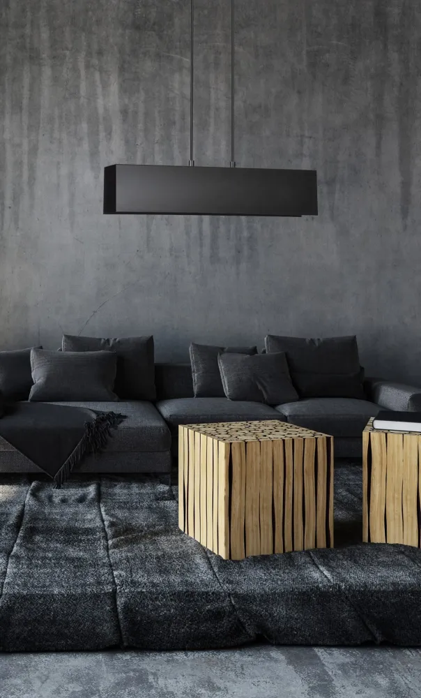GENTOR Pendelleuchte 2L, schwarz, E27 Emibig