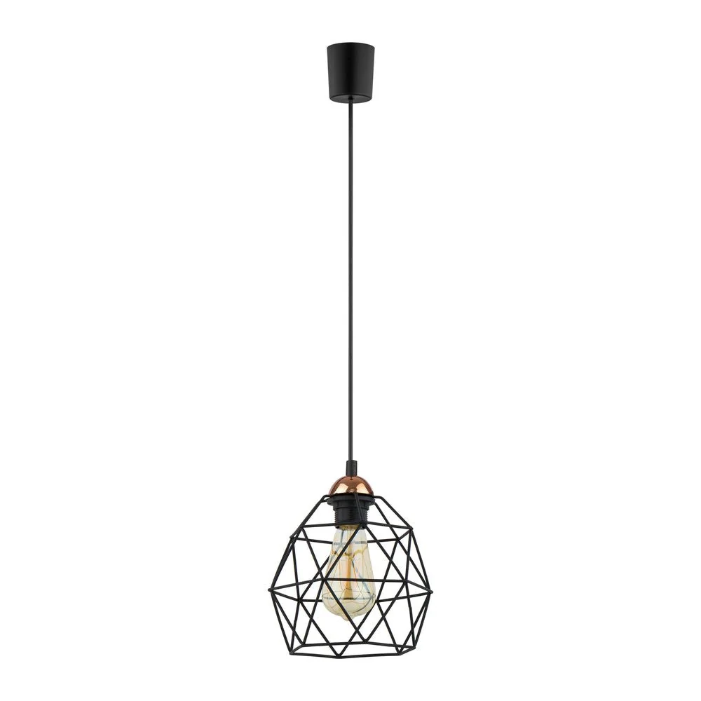 Pendelleuchte GALAXY, Metall, schwarz, E27, 1L TK Lighting