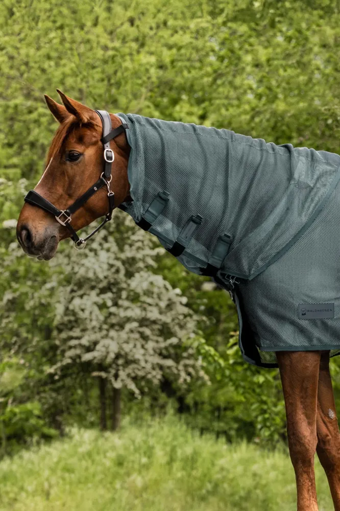 Comfort Fliegenhalsteil Pine Green WB