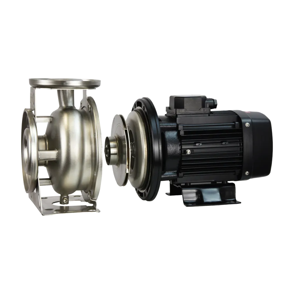 CS 50-32-200/5,5 (5,5 kW, 400 V). Challate Industrial Pump