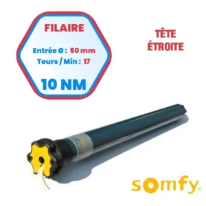 ILMO 50 WT 10/17 TH – Schmaler Kopf