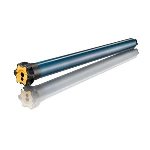ILMO 50 WT 10/17 TH – Schmaler Kopf
